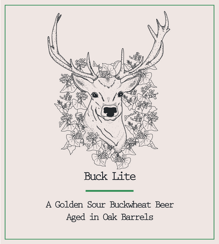 Buck Lite