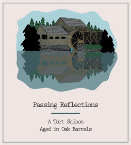 Passing Reflections